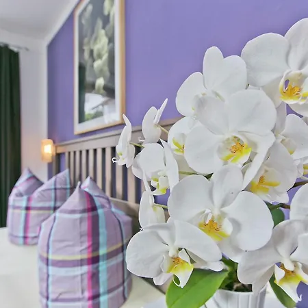Apartamento Schwemberger *